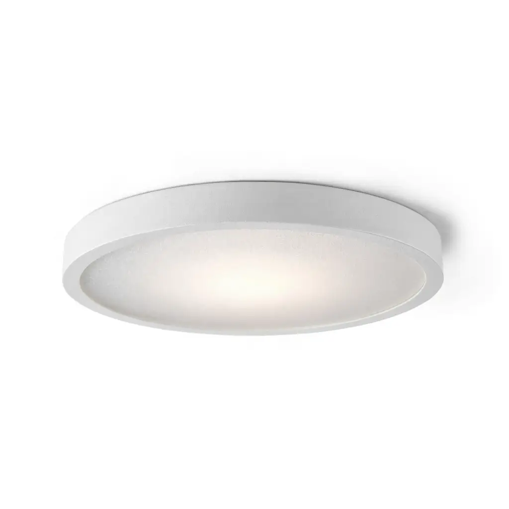 TLZ LIGHTING 12" Dimmable LED Flush Mount Ceiling Light (Selectable Color Temp)
