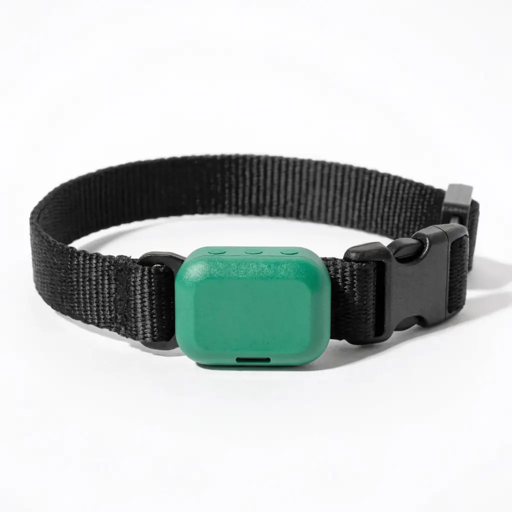 Tractive Smart GPS Dog Tracker